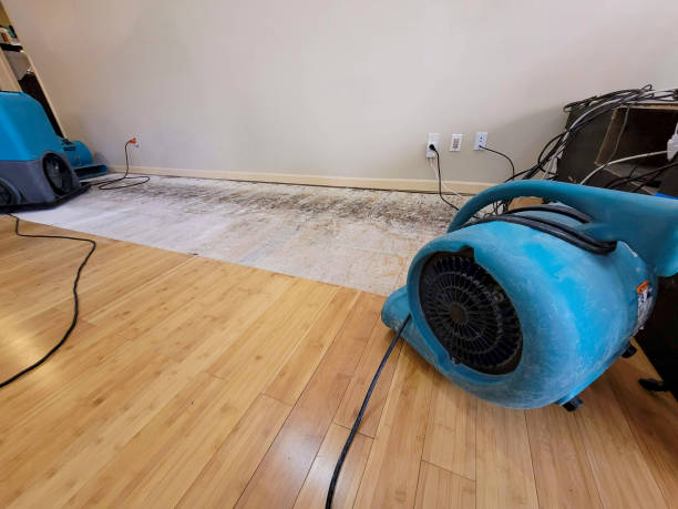 Professional Structural Drying technician working in Mabel, MN